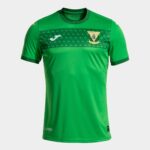 CAMISETA CD LEGANES